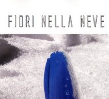 Fiori nella neve