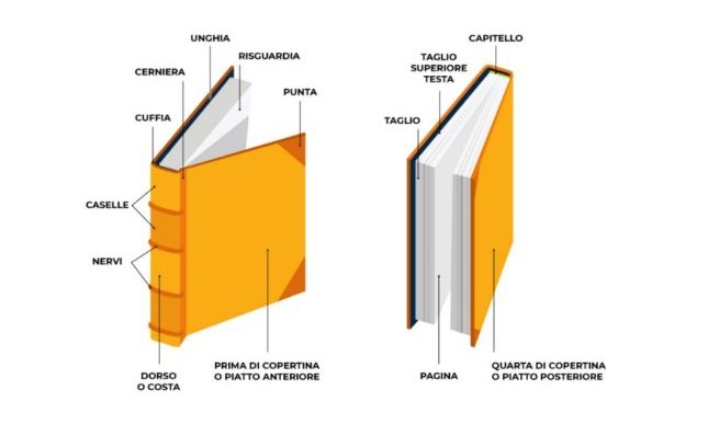 Libro: com'è fatto? Ecco le parti che lo compongono