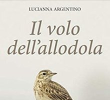 Il volo dell'allodola