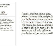 E sto muta sull'orlo della vita: testo e commento della poesia di Patrizia Valduga