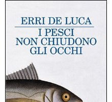 I pesci non chiudono gli occhi