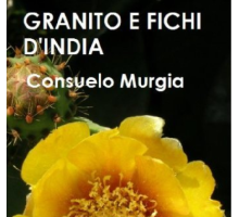 Granito e Fichi d'India