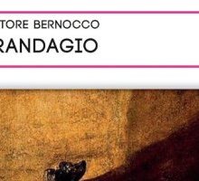 Il randagio