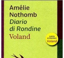 Diario di rondine