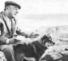 “Ode al cane”: la poesia di Pablo Neruda per la Giornata mondiale del cane