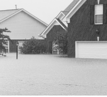 “L'alluvione ha sommerso il pack dei mobili” di Montale: la poesia dal significato simbolico