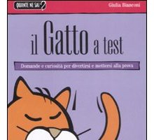 Il gatto a test