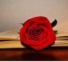 Festa di San Jordi: cos'è e perché si regalano rose e libri