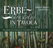 Erbe (non solo) in tavola