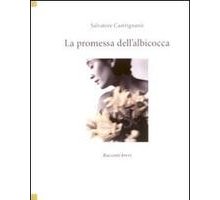 La promessa dell'albicocca