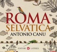 Roma selvatica