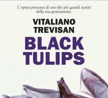 Black Tulips