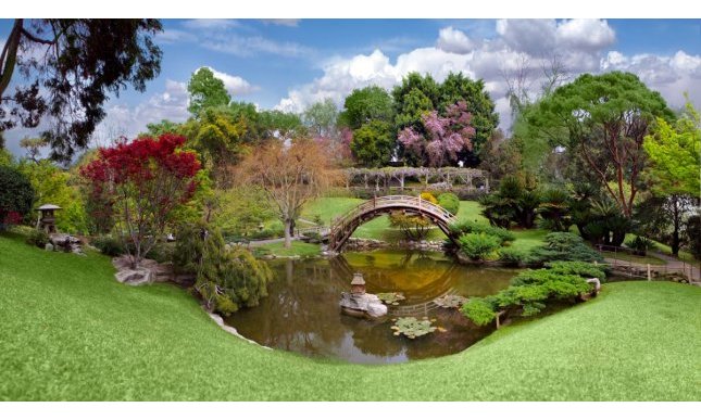 Huntington Library: la grande biblioteca americana che è anche museo d'arte e giardini botanici