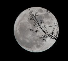 Ciàula scopre la luna: riassunto e commento della novella di Pirandello