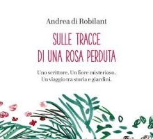 Sulle tracce di una rosa perduta