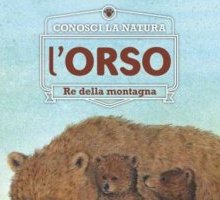 L'orso