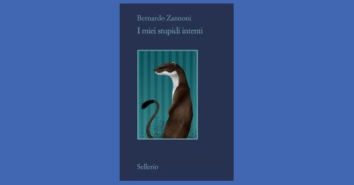 I Miei Stupidi Intenti - Bernardo Zannoni - Recensione Libro