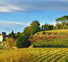 Esami di stato 2016: “Il valore del paesaggio” tra le tracce più gettonate