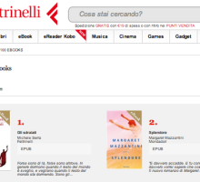 Gli e-book più venduti nel 2013