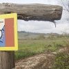 “A un passo dalle stelle”: una storia di formazione e amicizia lungo la via Francigena