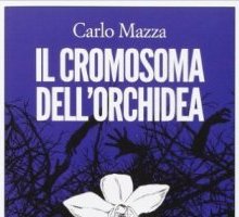 Il cromosoma dell'orchidea