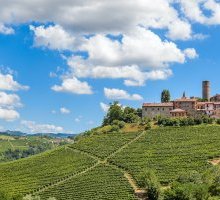 Viaggio nella Langa con Cesare Pavese, l'itinerario de “La luna e i falò”