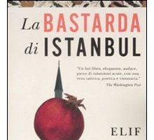 La bastarda di Istanbul