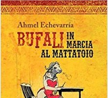 Bufali in marcia al mattatoio