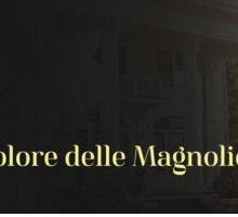 Il colore delle magnolie arriva su Netflix: trama e trailer della serie tratta dai romanzi di Sherryl Woods