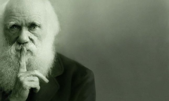 Darwin Day: 5 libri per ricordare Charles Darwin, padre dell'evoluzione della specie