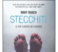 Stecchiti