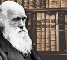 I libri della biblioteca di Charles Darwin: da Milton a Manzoni