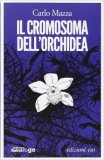 Il cromosoma dell'orchidea