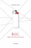 B.I.C. Brevi incontri casuali