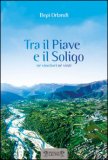 Tra il Piave e il Soligo. Né vincitori né vinti