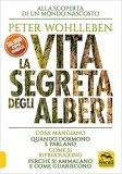 La vita segreta degli alberi