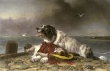 “Epitaffio per un cane”: la poesia di Lord Byron per la Giornata mondiale del cane