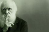 Darwin Day: 5 libri per ricordare Charles Darwin, padre dell'evoluzione della specie