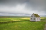 “Digging” di Séamus Heaney: la più bella poesia del Premio Nobel irlandese a 10 anni dalla scomparsa