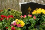 “Uno strano giardino”, la poesia che celebra novembre come mese dei morti