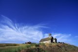 “Chiesa di maggio” di Giovanni Pascoli: una poesia bucolica e stridente