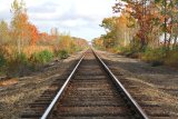 “Alla stazione in una mattina d'autunno”: la malinconica poesia di Carducci