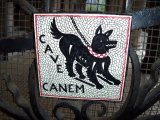 Cave canem: che significa e dove lo abbiamo sentito