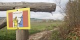 “A un passo dalle stelle”: una storia di formazione e amicizia lungo la via Francigena