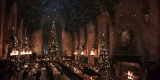 Natale a Hogwarts per i fan di Harry Potter: ecco dove e quanto costa