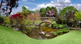 Huntington Library: la grande biblioteca americana che è anche museo d'arte e giardini botanici