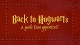 A che casa di Hogwarts appartieni? Il quiz a tema Harry Potter di Sololibri