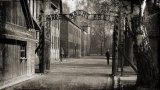 Auschwitz di Salvatore Quasimodo: parafrasi e analisi della poesia