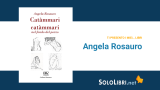 Catàmmari catàmmari nel fondo del pozzo: Angela Rosauro presenta il suo romanzo