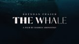 “The Whale”: l'ispirazione di Moby Dick nel nuovo film di Darren Aronofsky